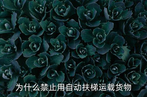 自動化設備扶梯,電動扶梯又稱自動行人電梯