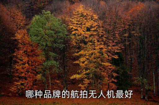 訊得自動化公司,南昌oa辦公自動化軟件哪家公司比較好?