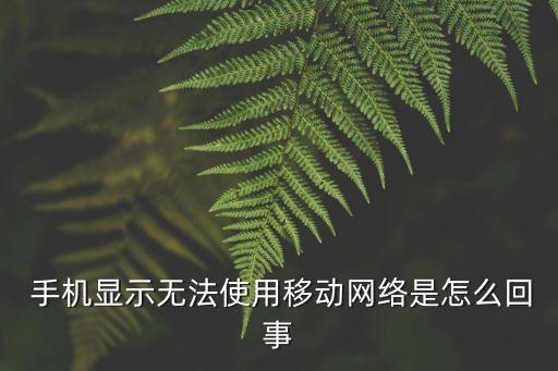 手機(jī)被禁止使用移動(dòng)數(shù)據(jù),禁止使用wlan和移動(dòng)數(shù)據(jù)