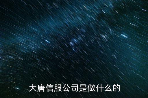 大唐信服公司是做什么的