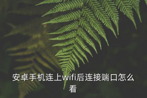 安卓手機(jī)連上wifi后連接端口怎么看