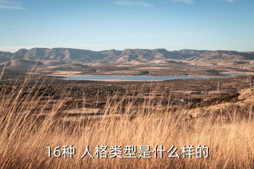16種 人格類型是什么樣的
