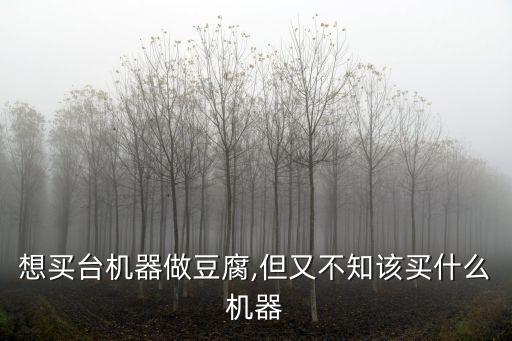 想買臺機器做豆腐,但又不知該買什么機器