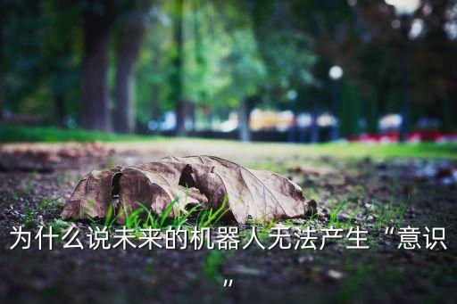 為什么說未來的機(jī)器人無法產(chǎn)生“意識”