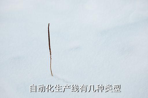  自動化生產(chǎn)線有幾種類型