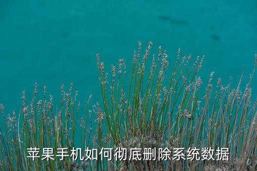 蘋(píng)果手機(jī)如何徹底刪除系統(tǒng)數(shù)據(jù)