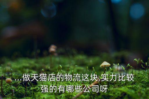 ...做天貓店的物流這塊,實力比較強的有哪些公司呀