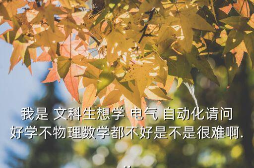 我是 文科生想學 電氣 自動化請問好學不物理數學都不好是不是很難啊...