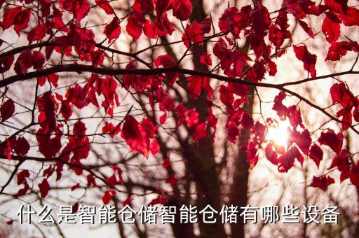 自動化物流倉儲設(shè)備有哪些,倉儲物流設(shè)備有哪些?