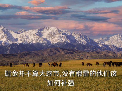 數(shù)據(jù)掘金網(wǎng)評(píng),小波特?cái)?shù)據(jù)怎么樣?