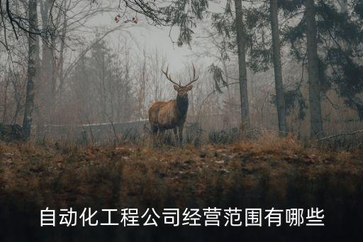 自動(dòng)化工程公司經(jīng)營(yíng)范圍有哪些