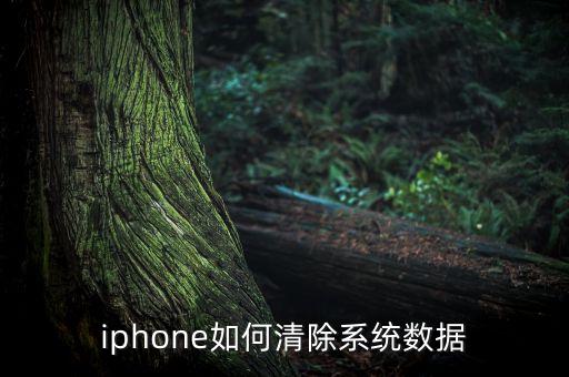 iphone如何清除系統(tǒng)數(shù)據(jù)