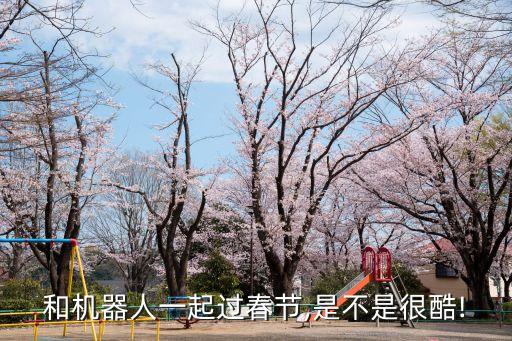和機(jī)器人一起過春節(jié),是不是很酷!