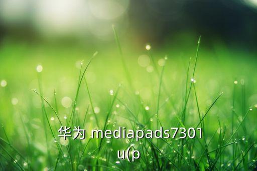  華為 mediapads7301u(p