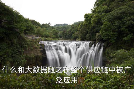 什么和大數(shù)據(jù)隨之在整個(gè)供應(yīng)鏈中被廣泛應(yīng)用