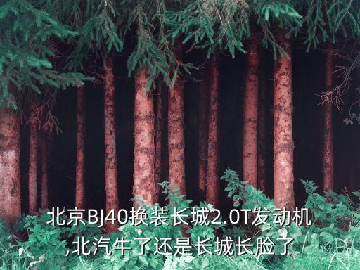 北京BJ40換裝長(zhǎng)城2.0T發(fā)動(dòng)機(jī),北汽牛了還是長(zhǎng)城長(zhǎng)臉了