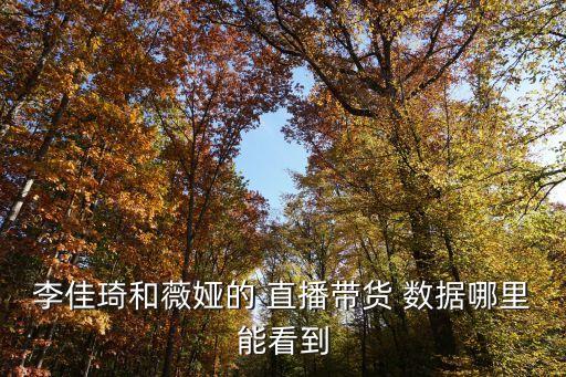 李佳琦和薇婭的 直播帶貨 數(shù)據(jù)哪里能看到