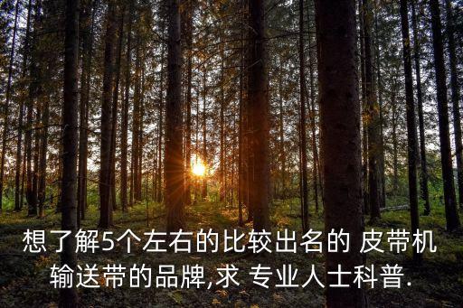 專業(yè)自動(dòng)化皮帶機(jī)報(bào)價(jià),皮帶機(jī)落料自動(dòng)化清理