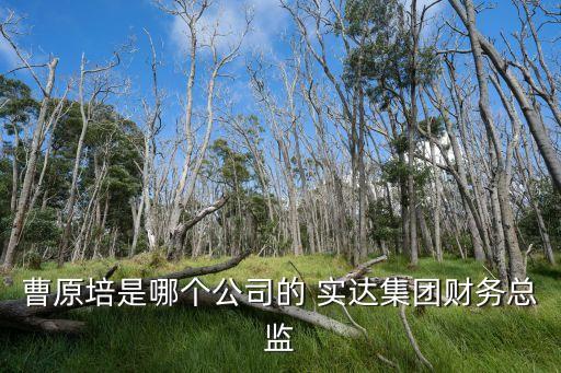 實達集團,實達集團董事李麗娜:女，漢族中專學(xué)歷