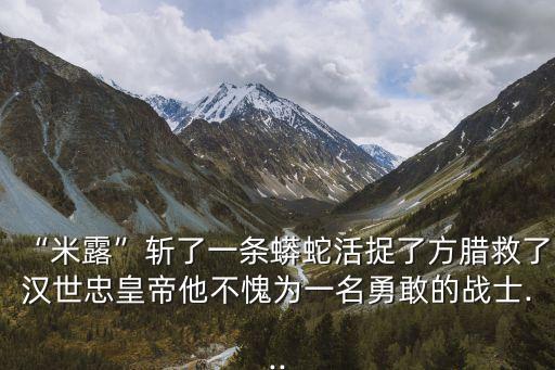 米露制造自動(dòng)化設(shè)備,米露和醪糟有哪些不同?