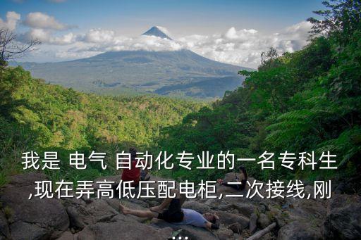 我是 電氣 自動(dòng)化專業(yè)的一名?？粕?現(xiàn)在弄高低壓配電柜,二次接線,剛...