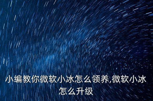 小編教你微軟小冰怎么領(lǐng)養(yǎng),微軟小冰怎么升級(jí)