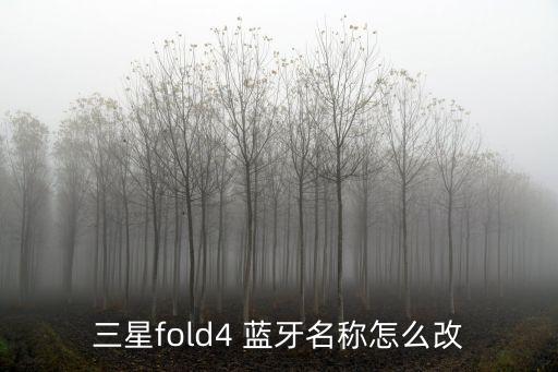 三星fold4 藍牙名稱怎么改