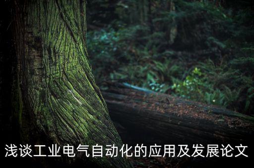 淺談工業(yè)電氣自動化的應用及發(fā)展論文