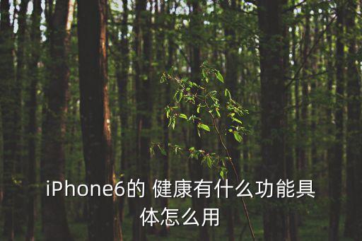 iPhone6的 健康有什么功能具體怎么用