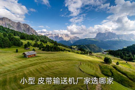 小型 皮帶輸送機廠家選哪家