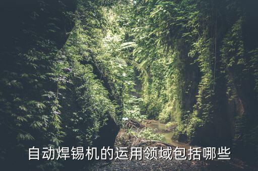 自動焊錫機的運用領域包括哪些