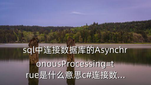 sql中連接數(shù)據(jù)庫的AsynchronousProcessing=true是什么意思c#連接數(shù)...