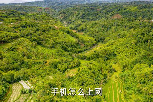 手機(jī)怎么上網(wǎng)