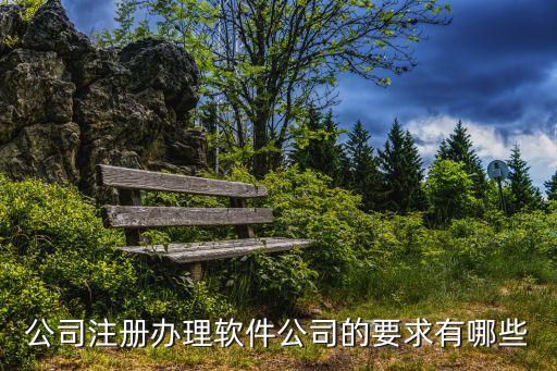 公司注冊(cè)辦理軟件公司的要求有哪些