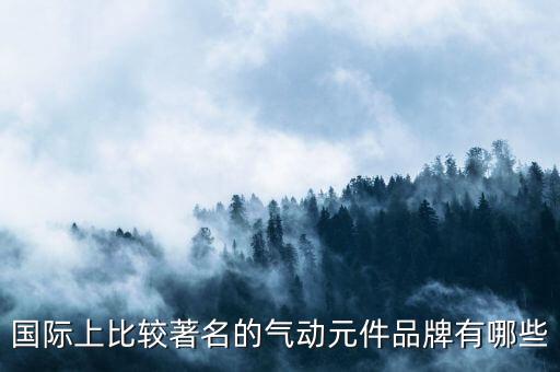 國(guó)際上比較著名的氣動(dòng)元件品牌有哪些