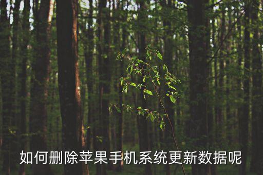 怎么關(guān)蘋果7數(shù)據(jù),蘋果手機怎么清除數(shù)據(jù)?