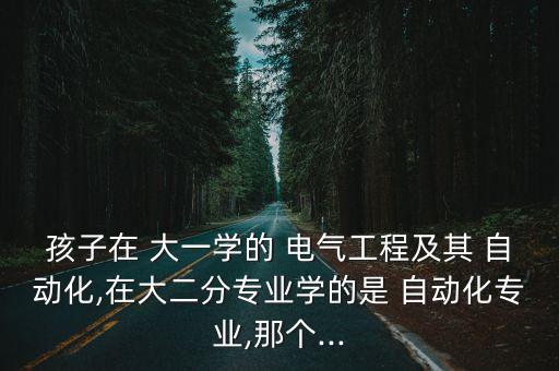 孩子在 大一學(xué)的 電氣工程及其 自動化,在大二分專業(yè)學(xué)的是 自動化專業(yè),那個...