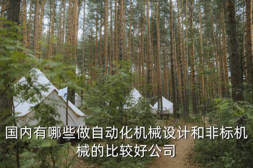 國(guó)內(nèi)有哪些做自動(dòng)化機(jī)械設(shè)計(jì)和非標(biāo)機(jī)械的比較好公司
