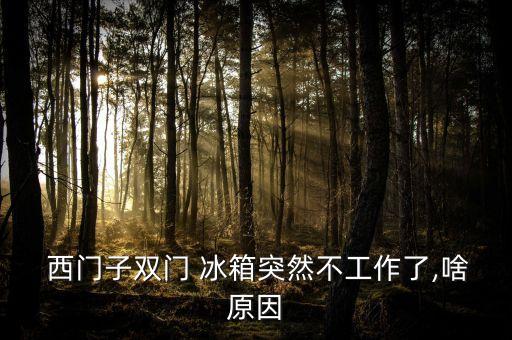  西門子雙門 冰箱突然不工作了,啥原因