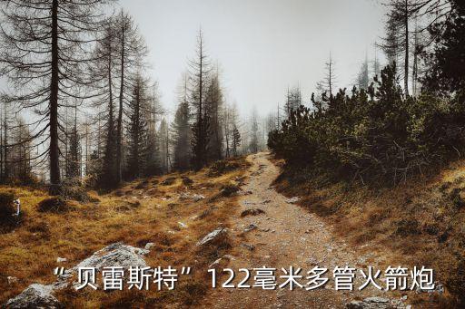 “ 貝雷斯特”122毫米多管火箭炮