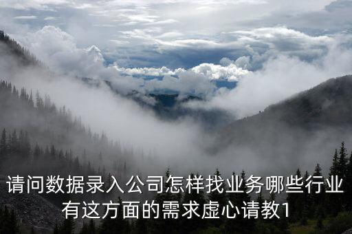請問數(shù)據(jù)錄入公司怎樣找業(yè)務(wù)哪些行業(yè)有這方面的需求虛心請教1