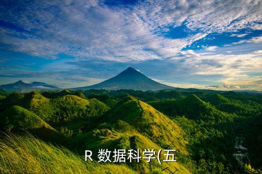 R 數(shù)據(jù)科學(五