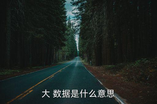 大 數(shù)據(jù)是什么意思