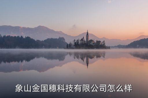象山金國穗科技有限公司怎么樣