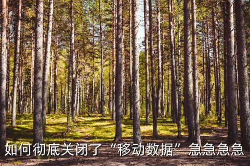 700M流量數(shù)據(jù)卡如何關閉,移動如何關閉手機數(shù)據(jù)流量?