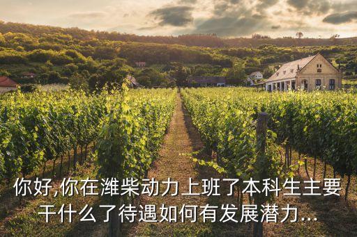 濰柴自動(dòng)化專業(yè)待遇,揚(yáng)州濰柴動(dòng)力本科生薪資待遇怎么樣?