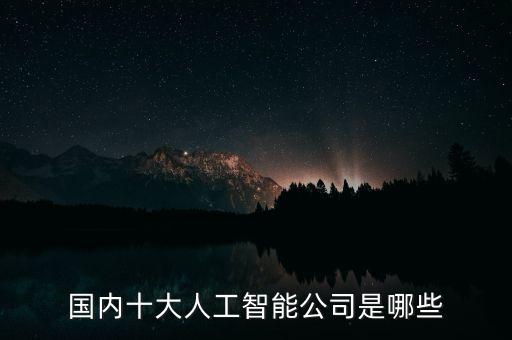 國內十大人工智能公司是哪些