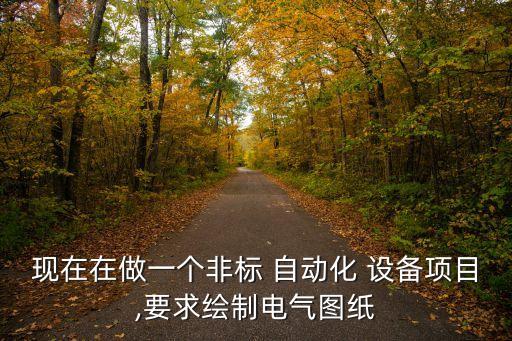 現(xiàn)在在做一個(gè)非標(biāo) 自動(dòng)化 設(shè)備項(xiàng)目,要求繪制電氣圖紙