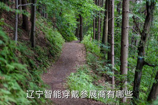  遼寧智能穿戴參展商有哪些