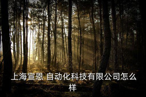  上海宣恩 自動化科技有限公司怎么樣